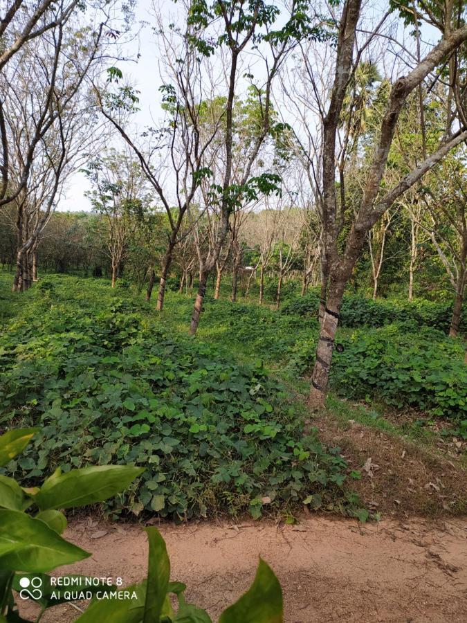 Vanasiri Cottage Dharmastala Luaran gambar